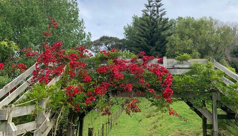 1124 Awhitu Road, Waiuku