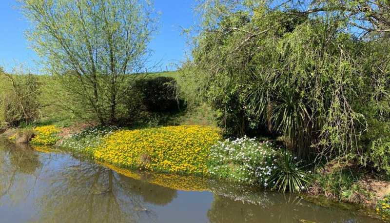 1124 Awhitu Road, Waiuku