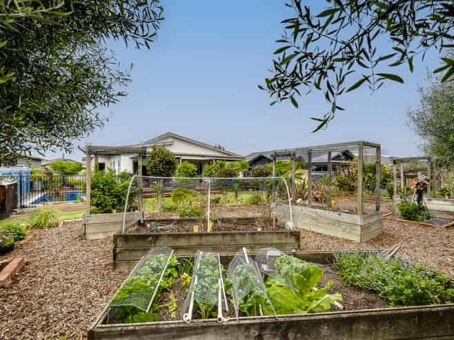 31 Napier Street, Jervoistown