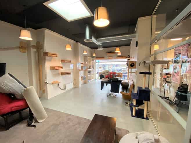 Jackson Street with rear access and a car park