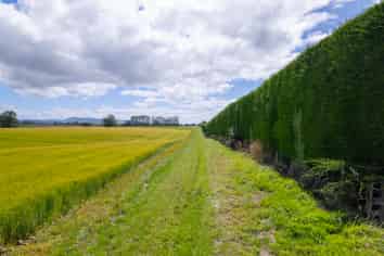 9 Norris Road, Otautau