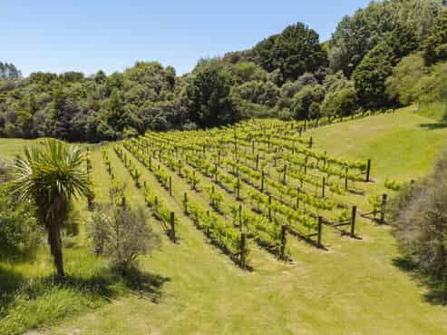 1585 Poihipi Road, Oruanui