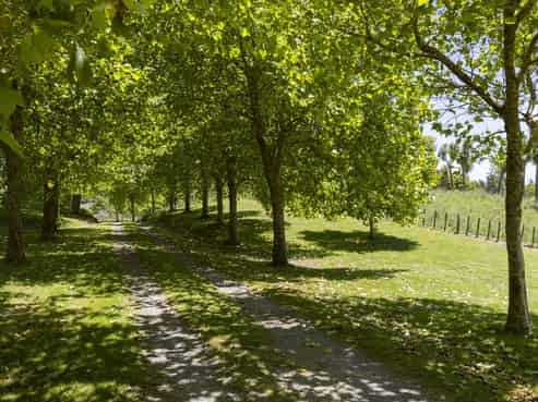 1585 Poihipi Road, Oruanui