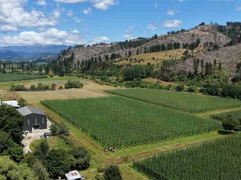 390 Tadmor Valley Road, Tapawera