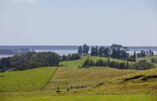 250 Busby Road, Katikati