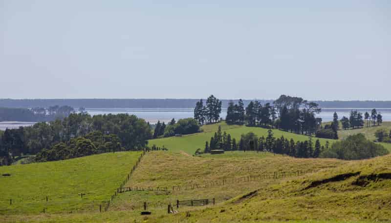 250 Busby Road, Katikati