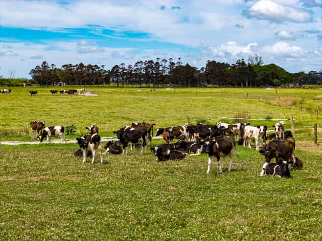 175 Ahipara Road, Ahipara