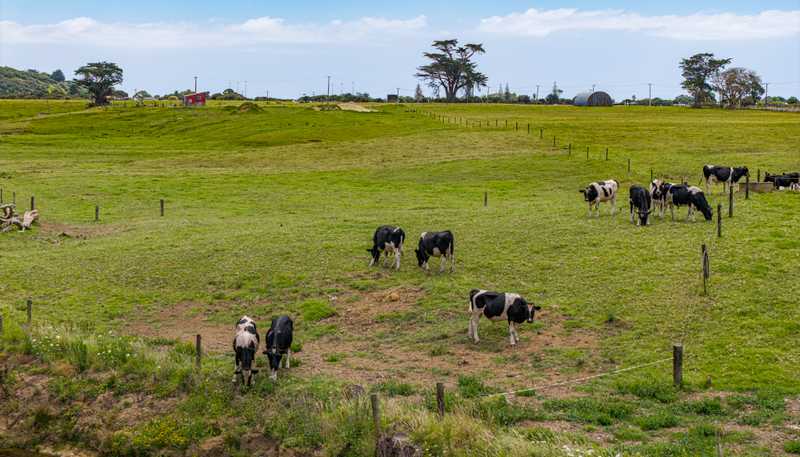 175 Ahipara Road, Ahipara