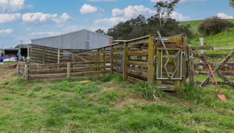 17 Omahu Valley Road, Puriri