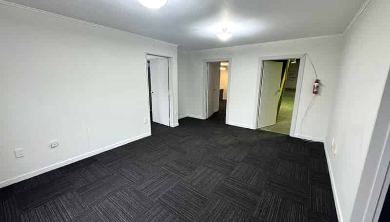 32 Kitchener Street, Dunedin Central
