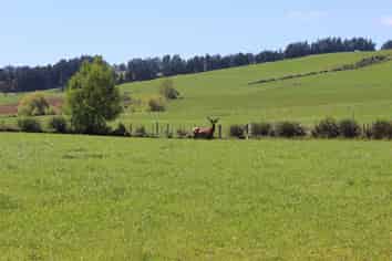 102 Talbot Road, Te Anau