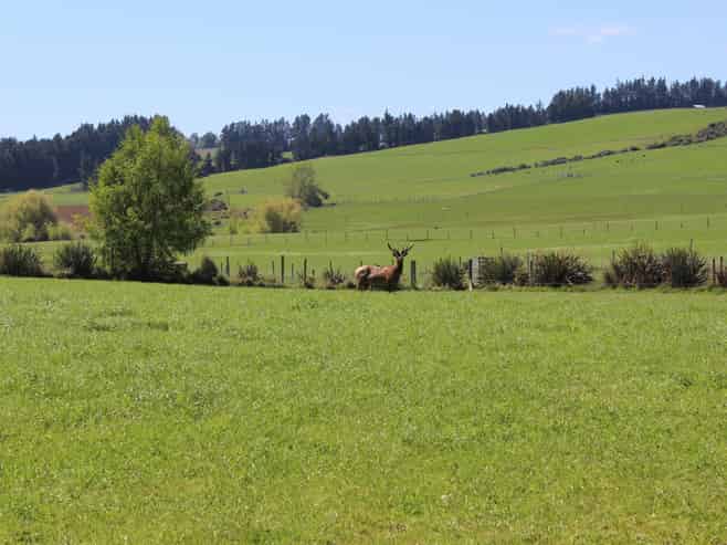 102 Talbot Road, Te Anau