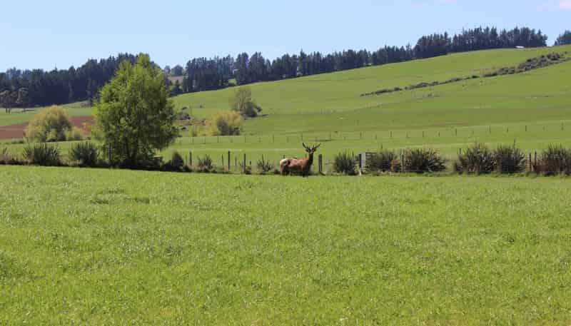102 Talbot Road, Te Anau