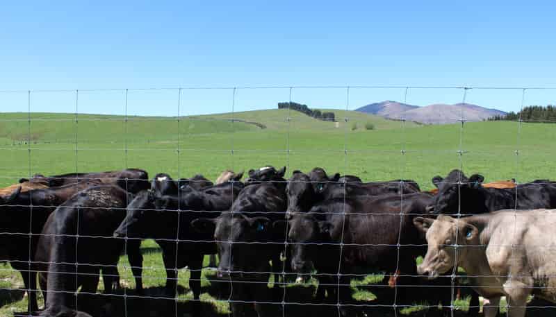 102 Talbot Road, Te Anau