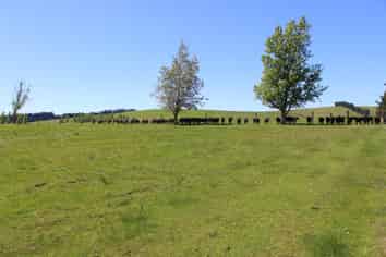 102 Talbot Road, Te Anau