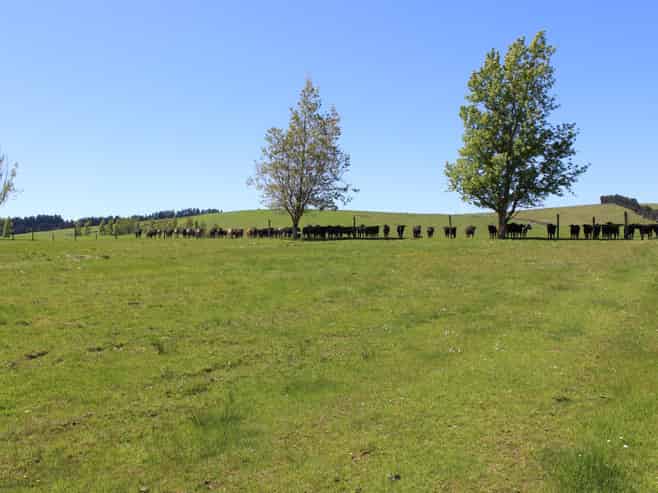 102 Talbot Road, Te Anau