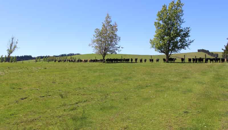102 Talbot Road, Te Anau