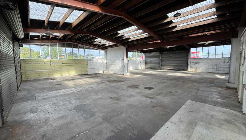 Part 271 Clyde Street, Hamilton East