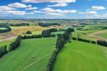 82 Paradise Gully Road, Ngapara