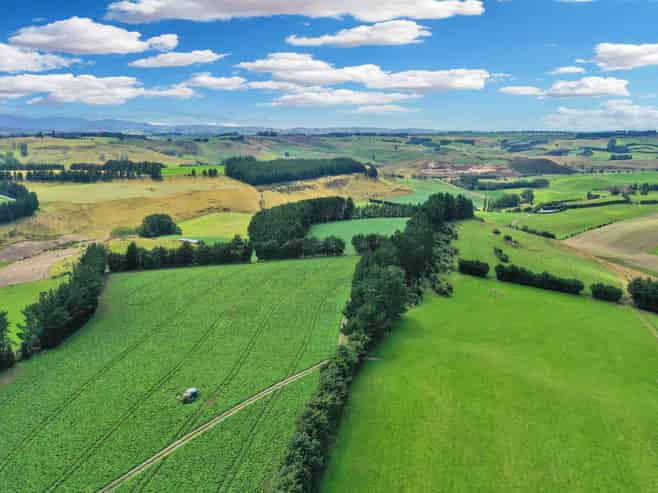 82 Paradise Gully Road, Ngapara