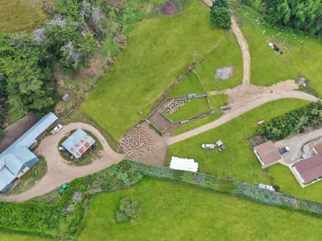 82 Paradise Gully Road, Ngapara