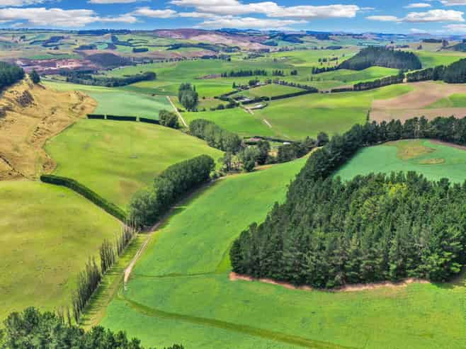 82 Paradise Gully Road, Ngapara