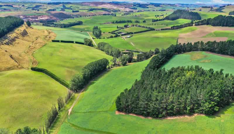 82 Paradise Gully Road, Ngapara