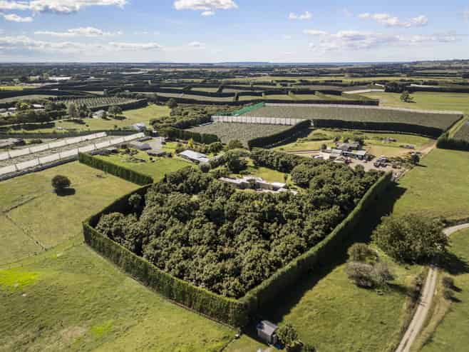 55C Taupata Street, Paengaroa