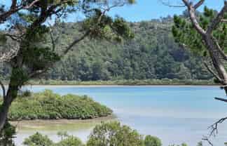 142A Kittiwake Drive, Albany