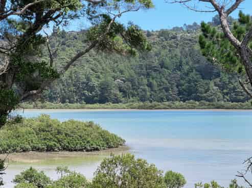 142A Kittiwake Drive, Albany