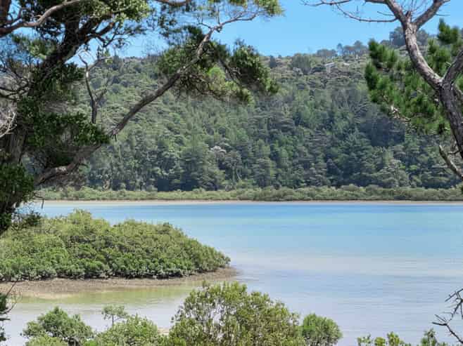 142A Kittiwake Drive, Albany