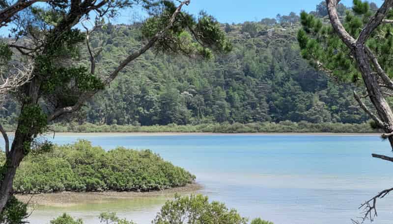 142A Kittiwake Drive, Albany