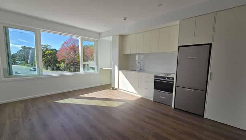 211/2A Oakley Avenue, Waterview