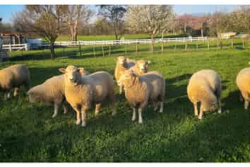 45 Bryant Road, Brightwater