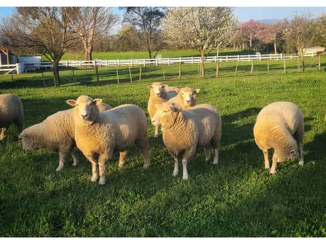 45 Bryant Road, Brightwater