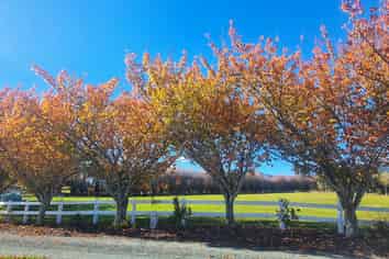 45 Bryant Road, Brightwater