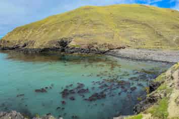 810 Lavericks Bay Road, Le Bons Bay