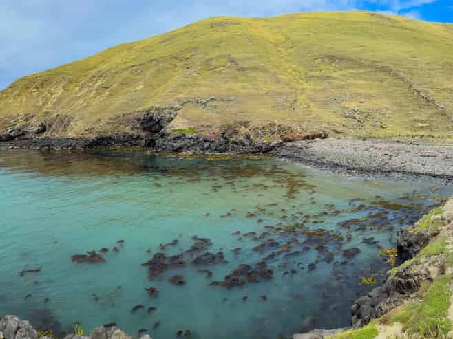 810 Lavericks Bay Road, Le Bons Bay