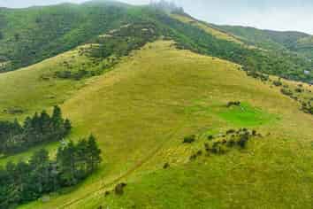 663 Summit Road, Pigeon Bay