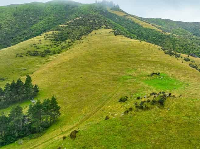 663 Summit Road, Pigeon Bay