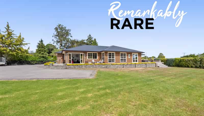 63 Black Beech Street, Birchville