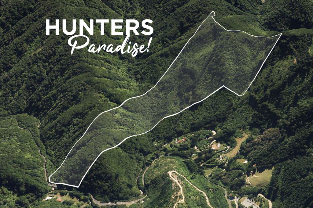 A Hunter’s Paradise 1