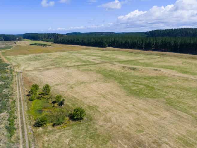 590 Brandon Hall Road, Bulls