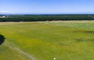 590 Brandon Hall Road, Bulls