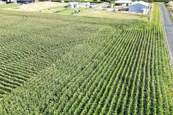  Monmouth Road, Stratford