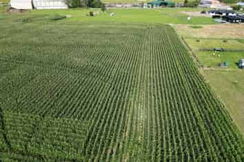  Monmouth Road, Stratford