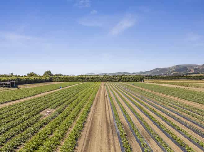 444 Paton Road, Hope