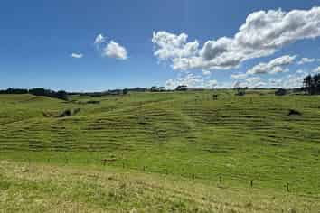 LOT 3/229 Hurford Road, New Plymouth Central