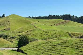 LOT 3/229 Hurford Road, New Plymouth Central