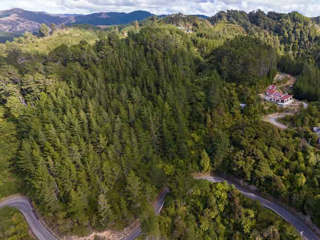 173, 175, 177, 181 Blue Mountains Road, Blue Mountains